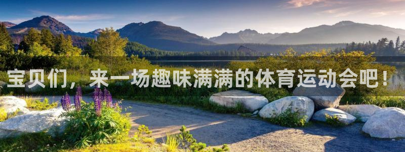 球王会体育