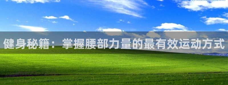 球王会体育