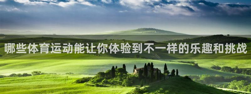 球王会体育