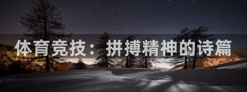 球王会体育