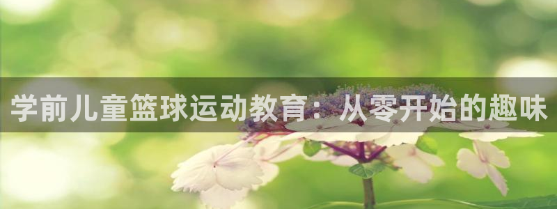 球王会体育
