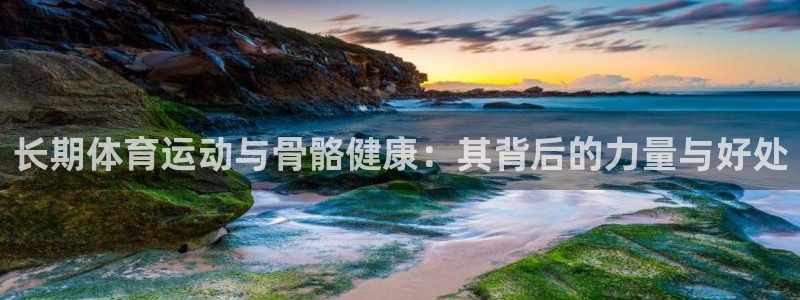 球王会体育