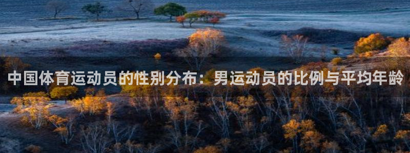 球王会体育