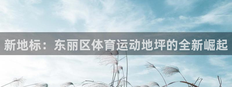 球王会体育