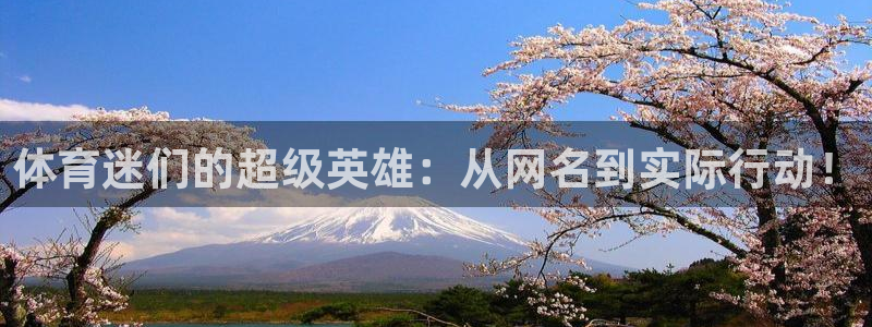 球王会体育