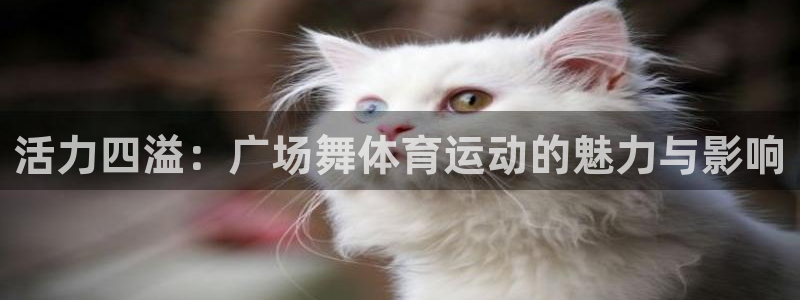 球王会体育