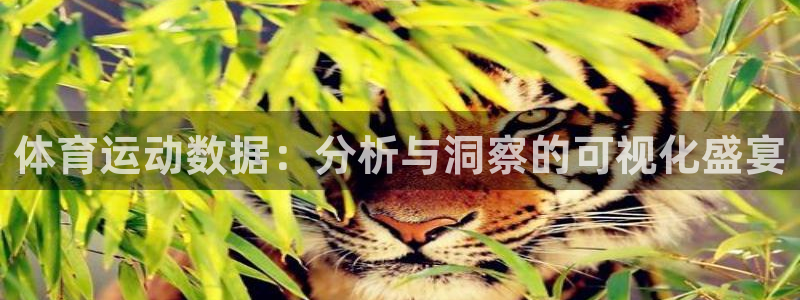 球王会体育